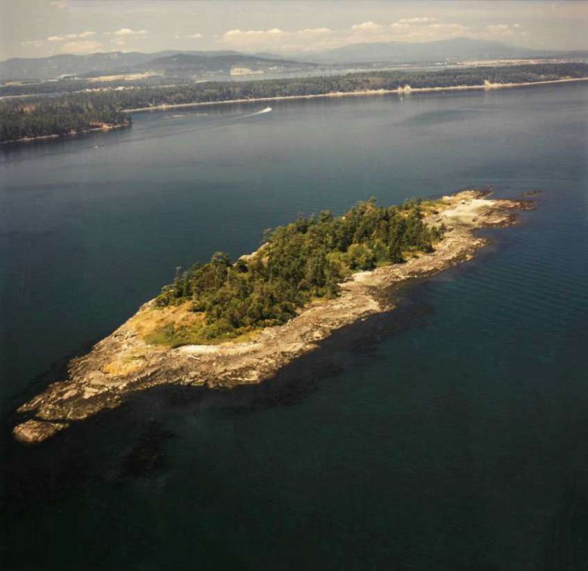 island image