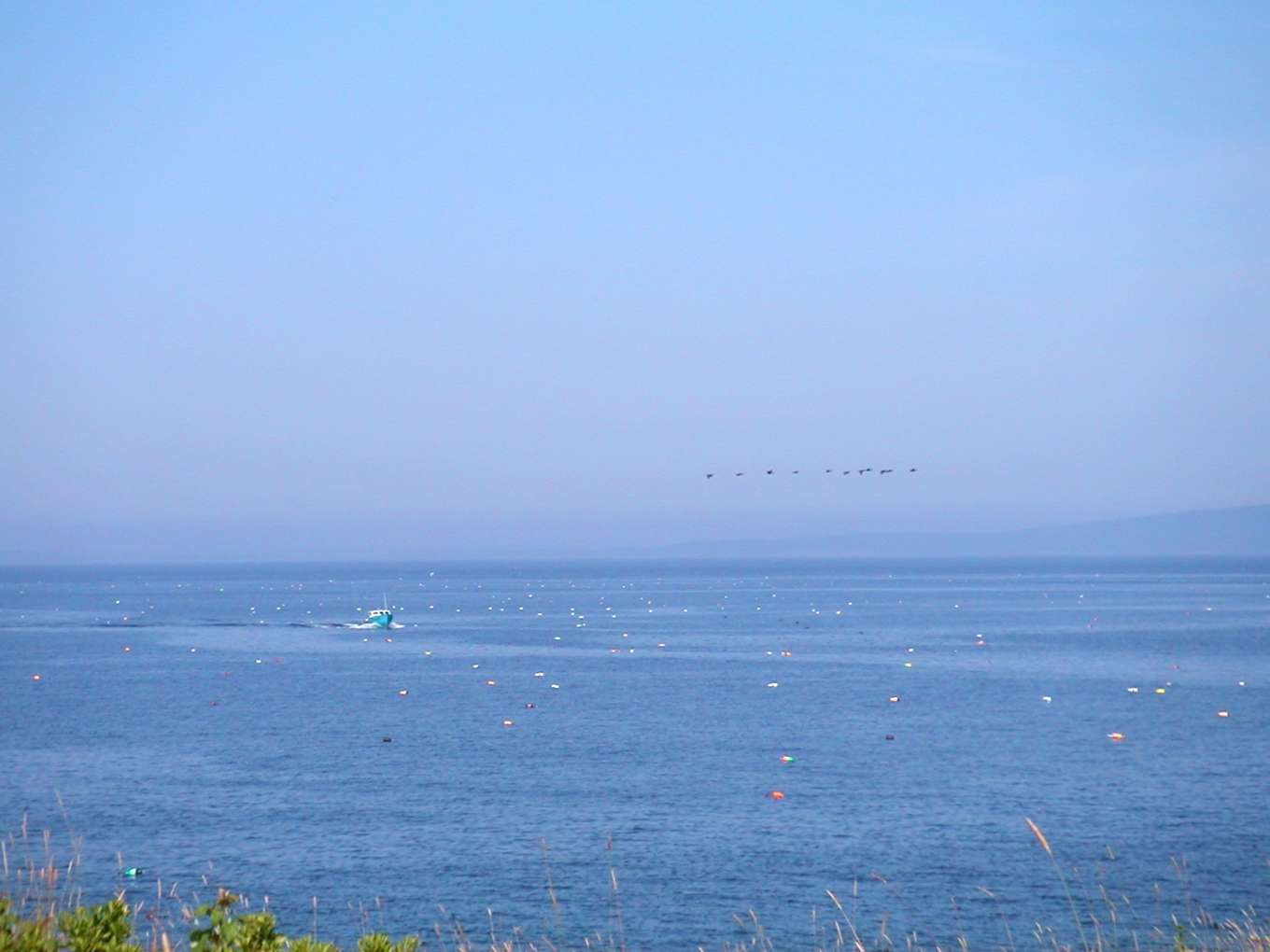 Greer Island Maine, United States Private Islands for Sale