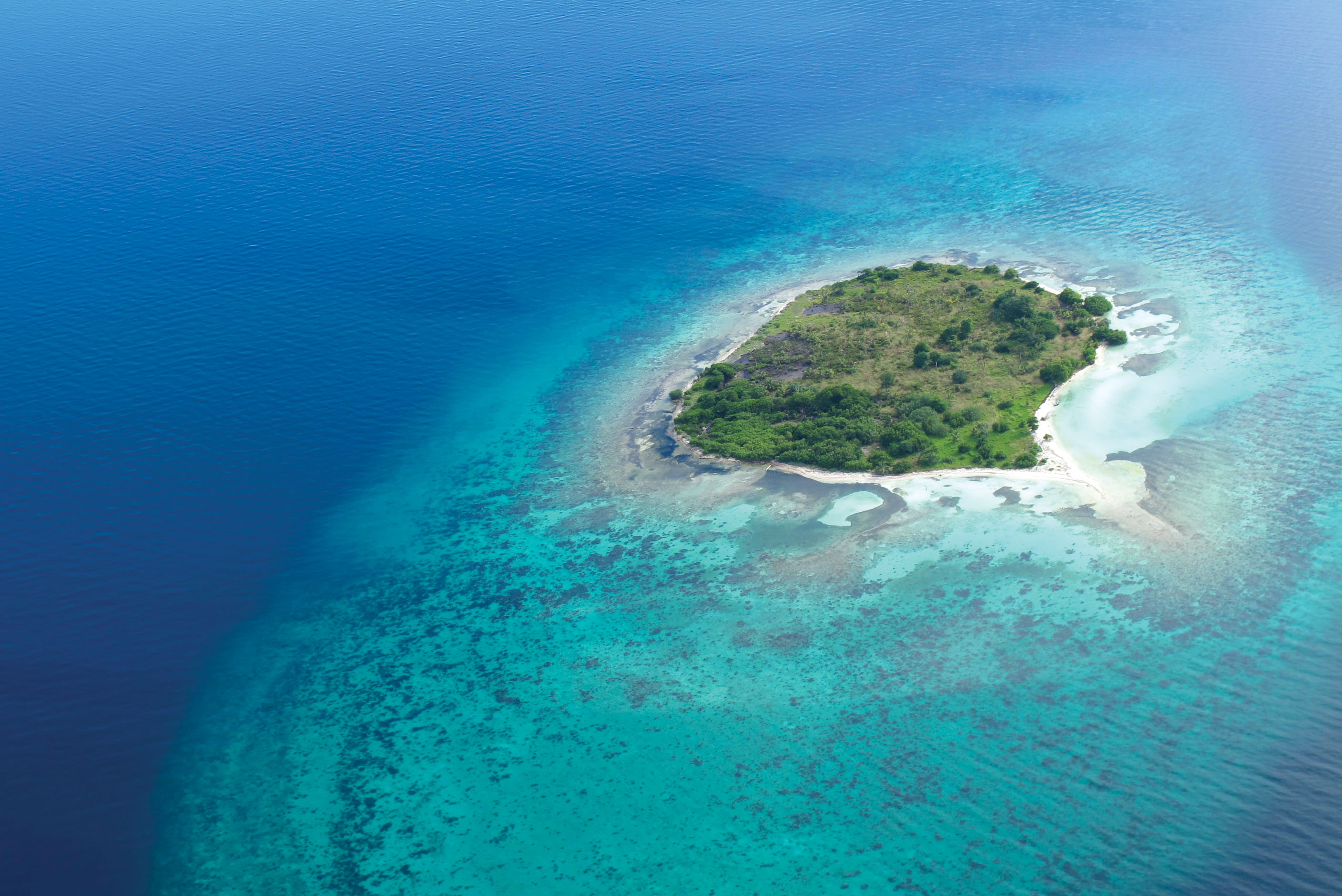 Мохо-Тани остров. Парадиз остров Карибского моря. Остров Deadman Caye. Aride Island индийский океан. Бесплатный индийский океан