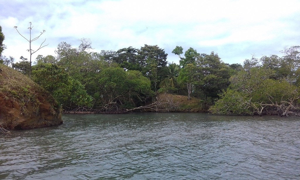 Punta Laurel Island - Panama, Central America - Private Islands for Sale