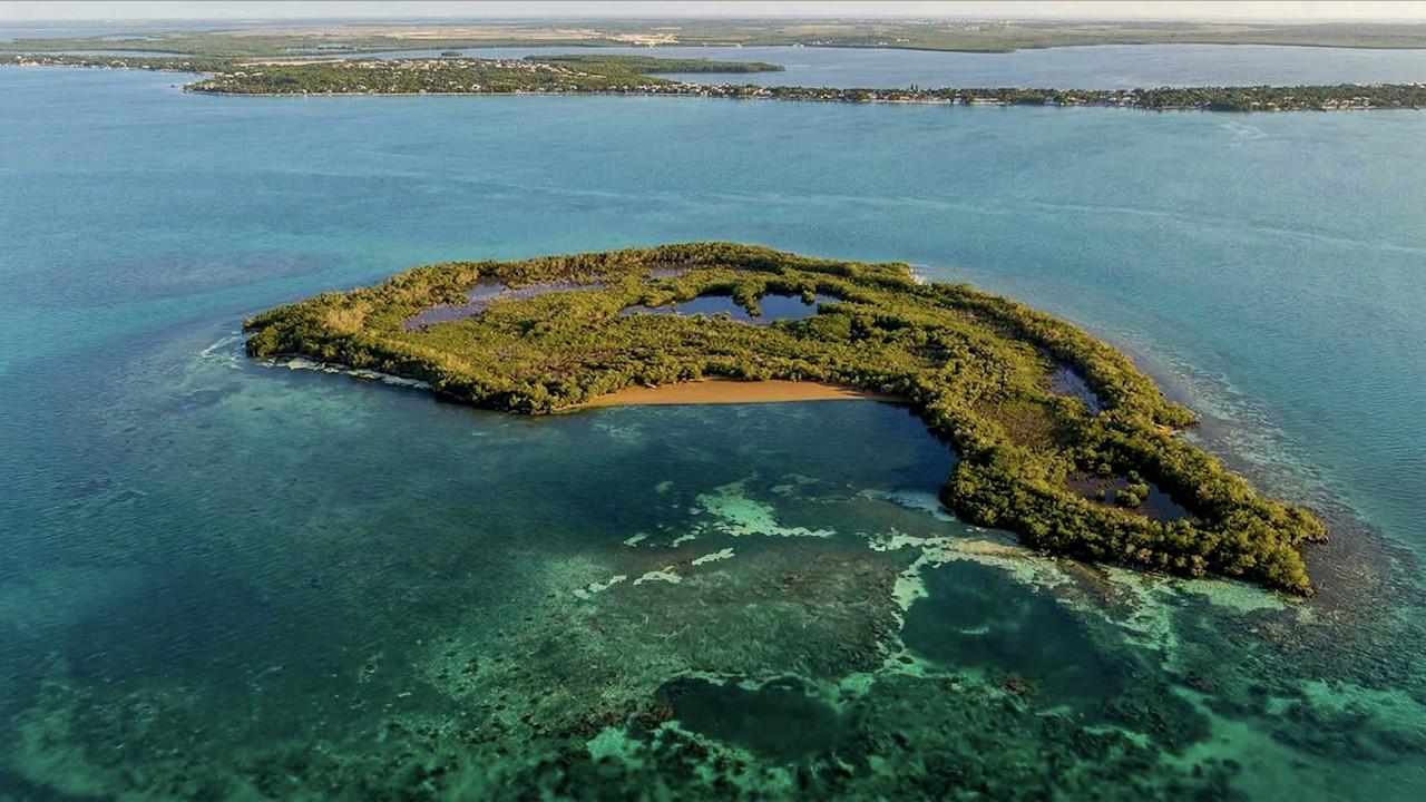False Caye