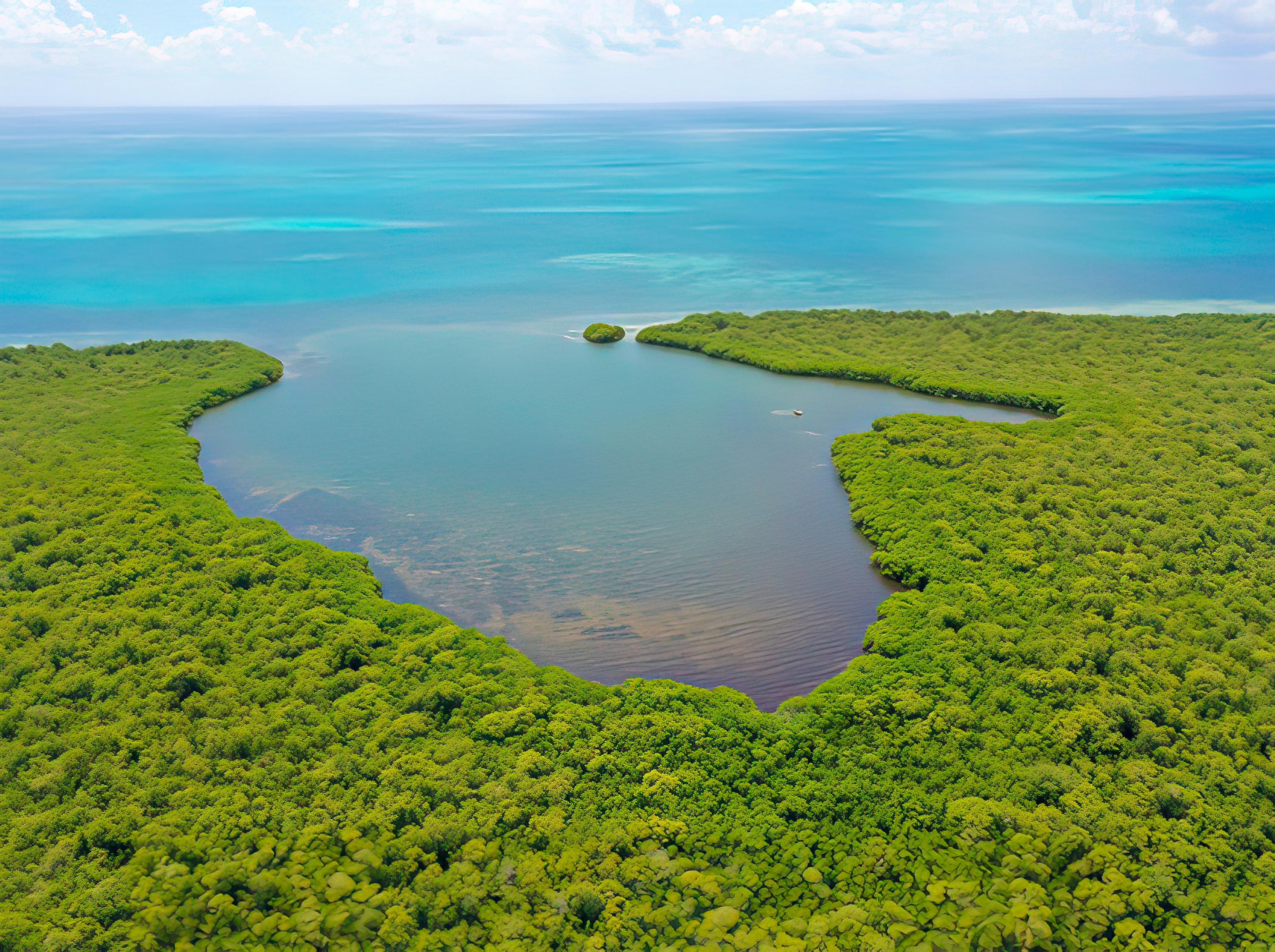 10 acres on Middle Long Caye