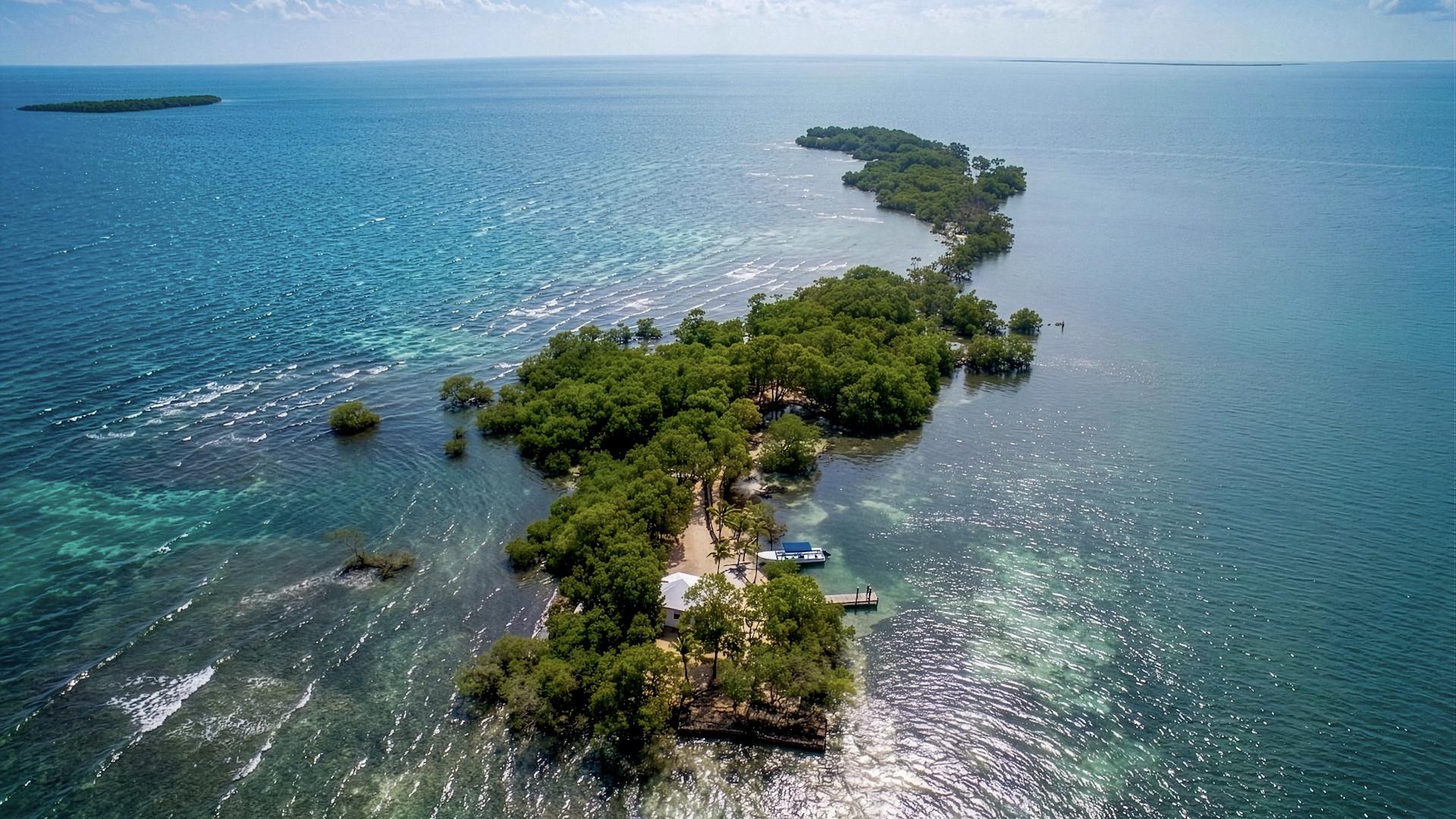 South Saddle Caye