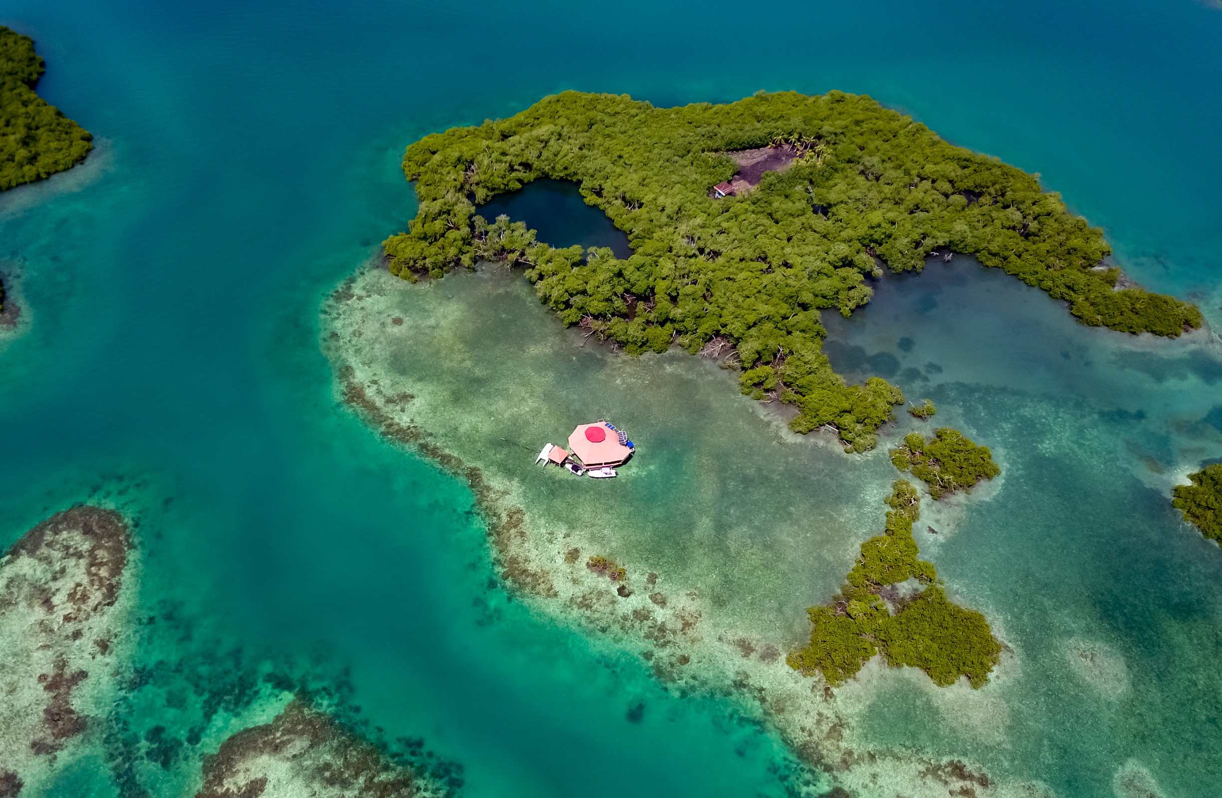 Jack Analys Cay