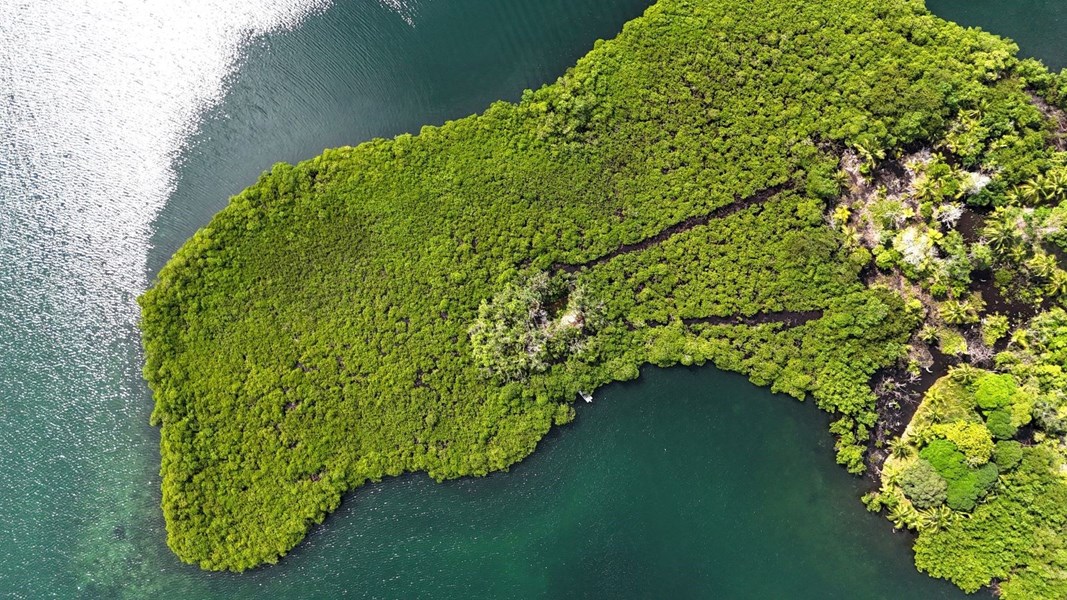 Small Island in Bocas