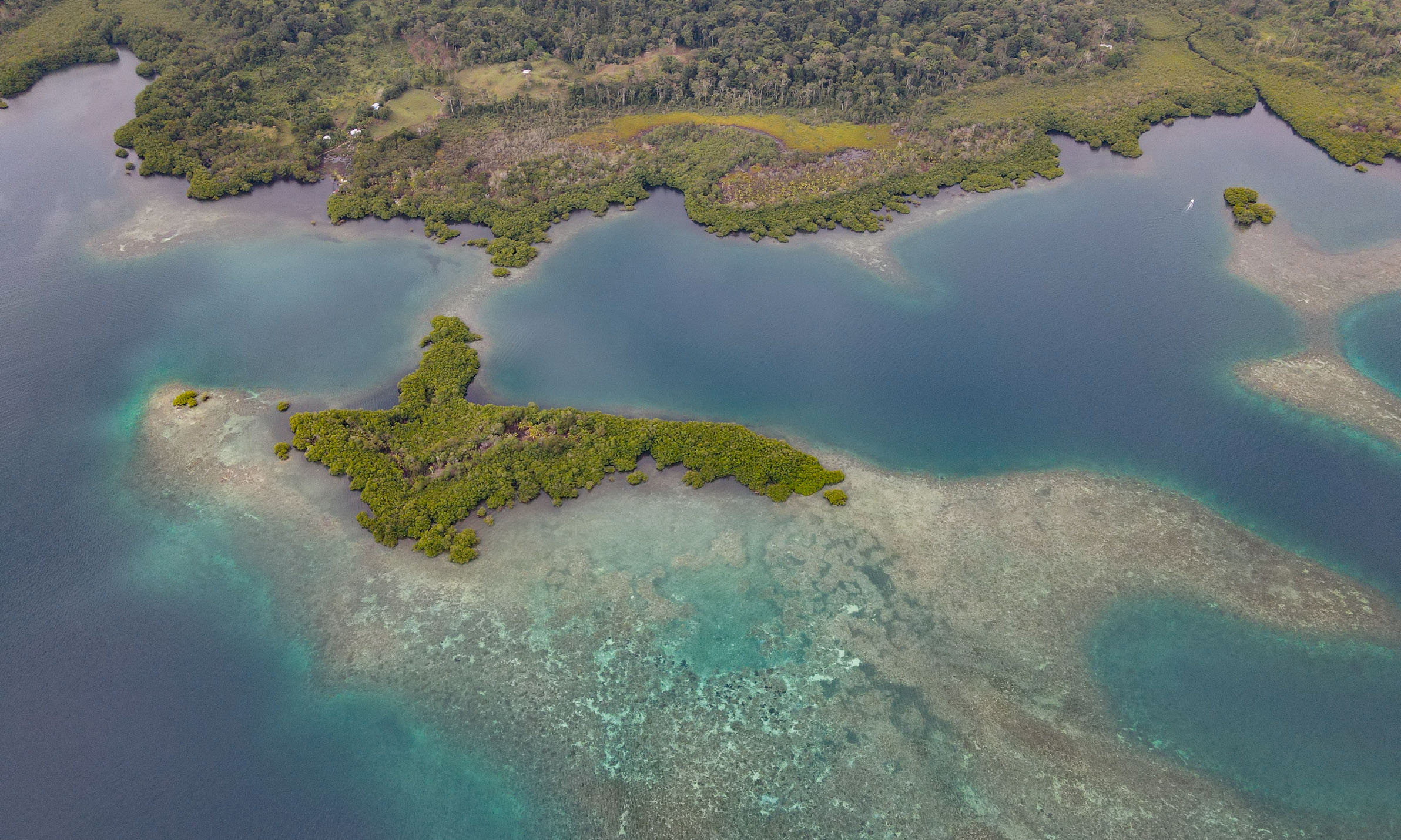 Private Island with 1.5-ha Lot