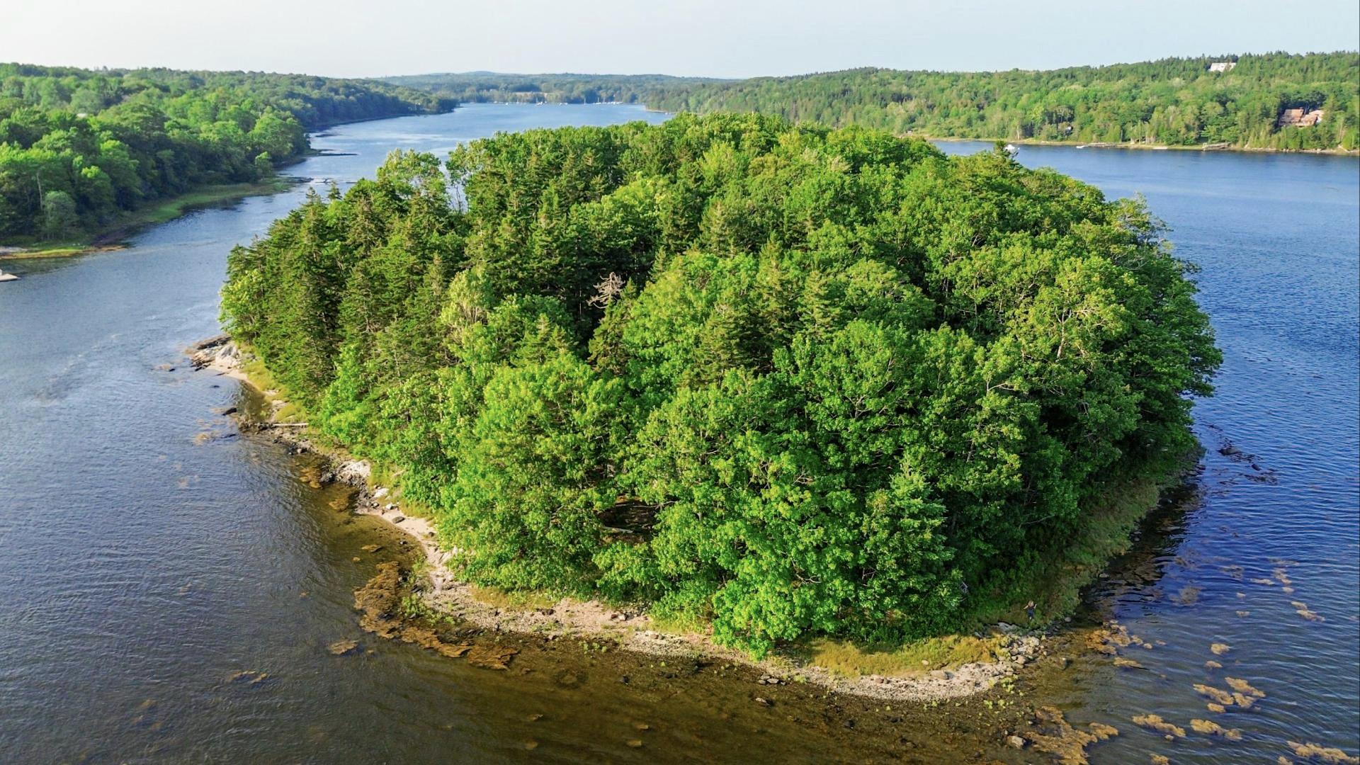 Upper Negro Island