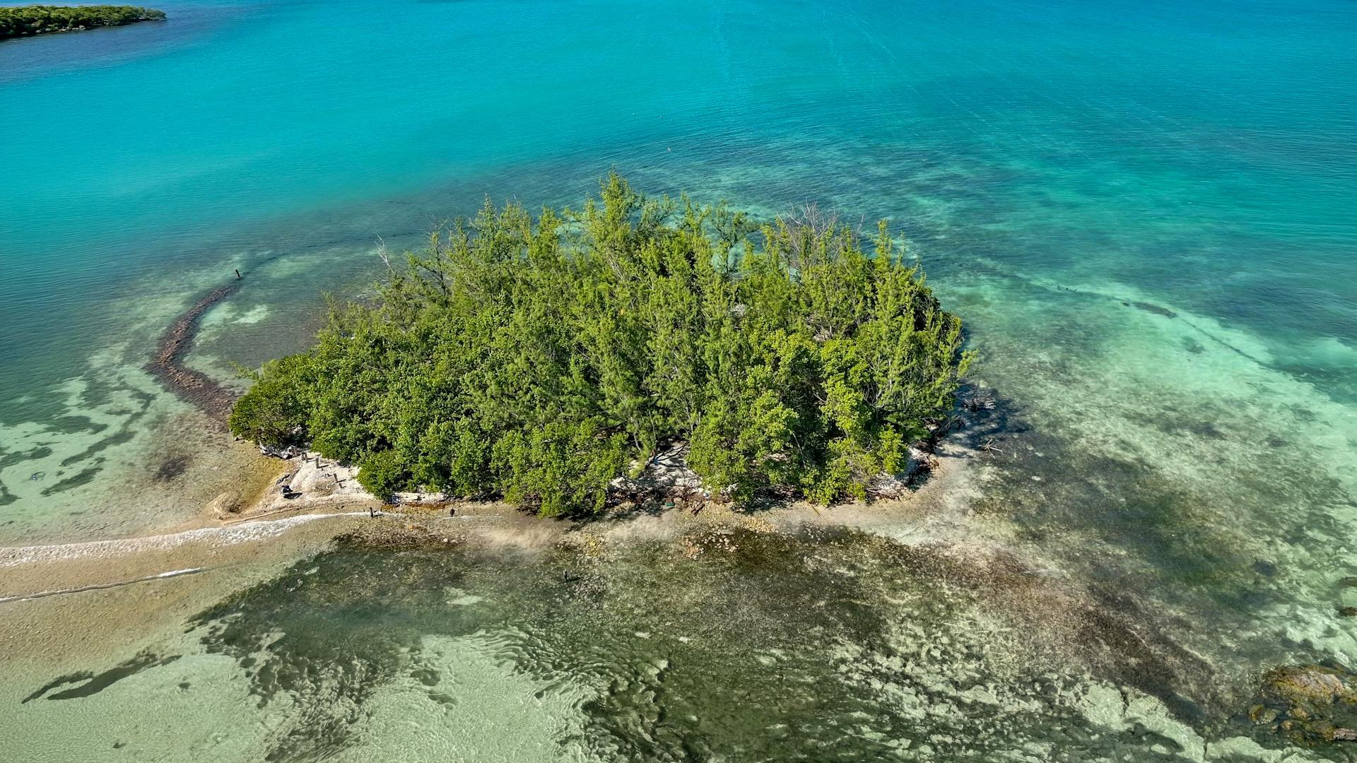 Bikini Caye