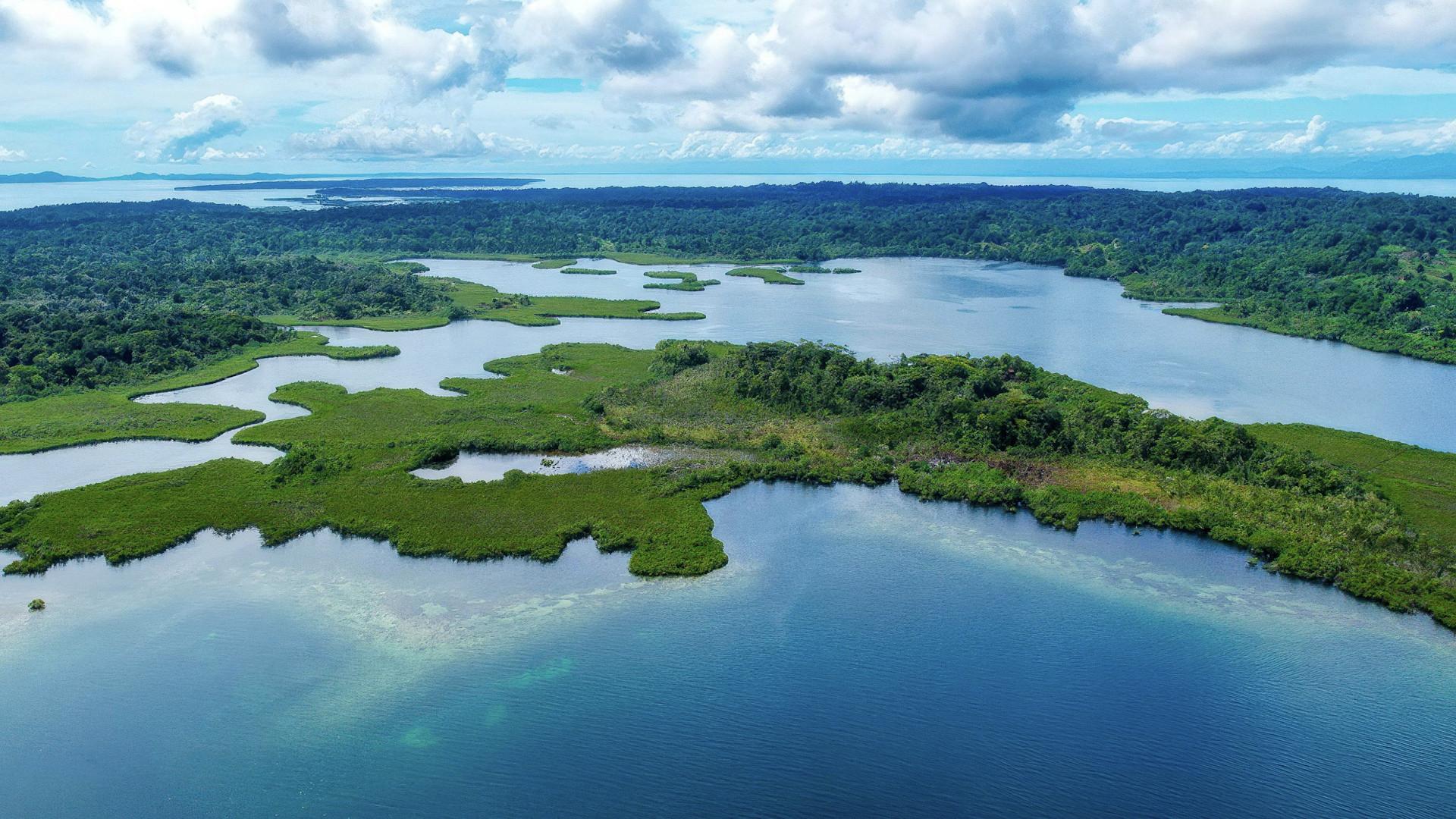 Bocas del Toro