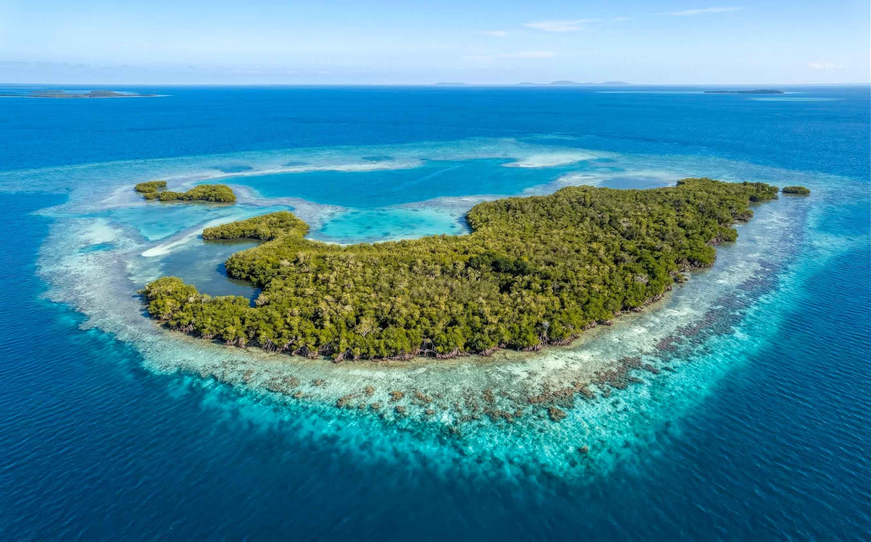 Wild Orchid Caye