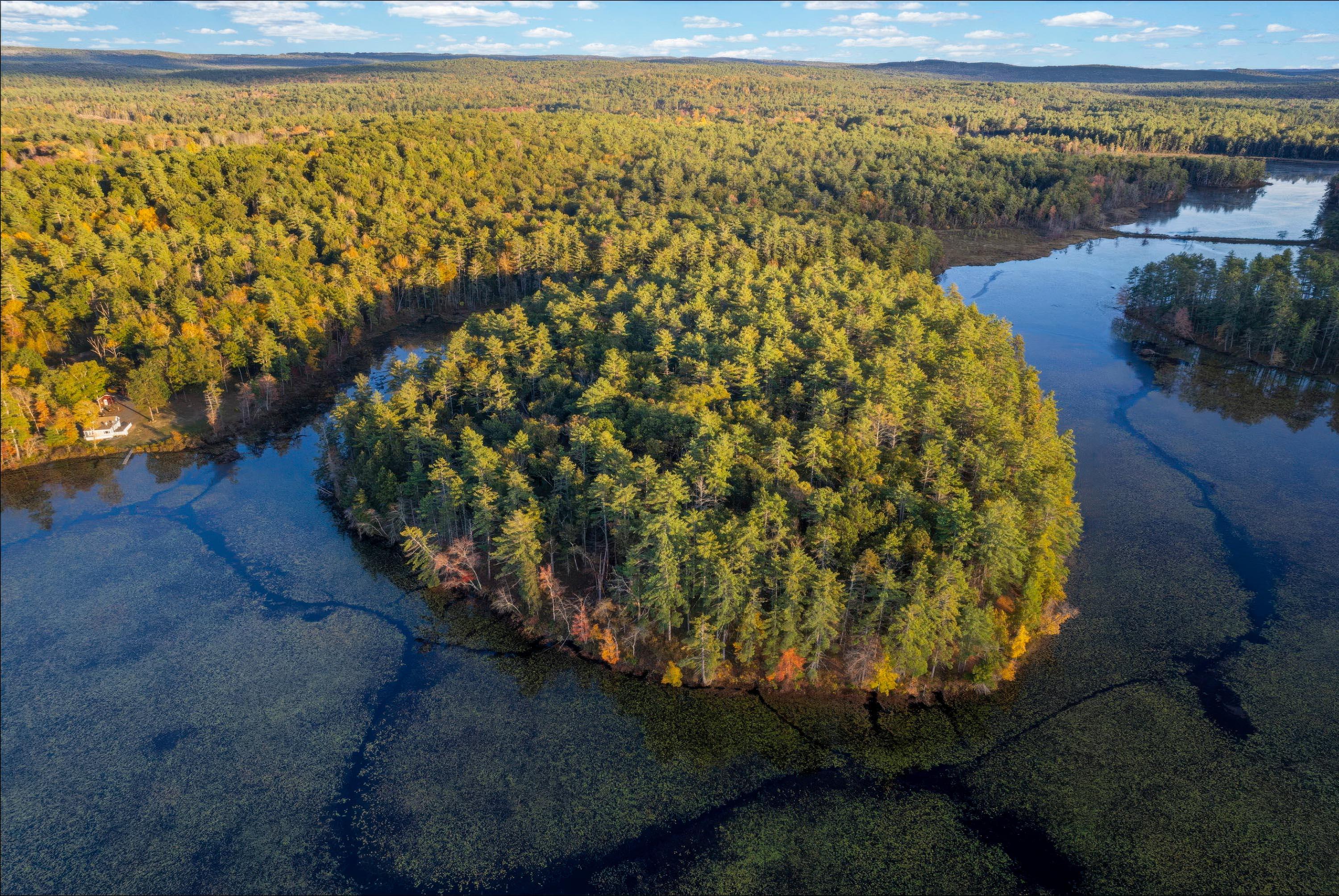 Lake Rohunta Island