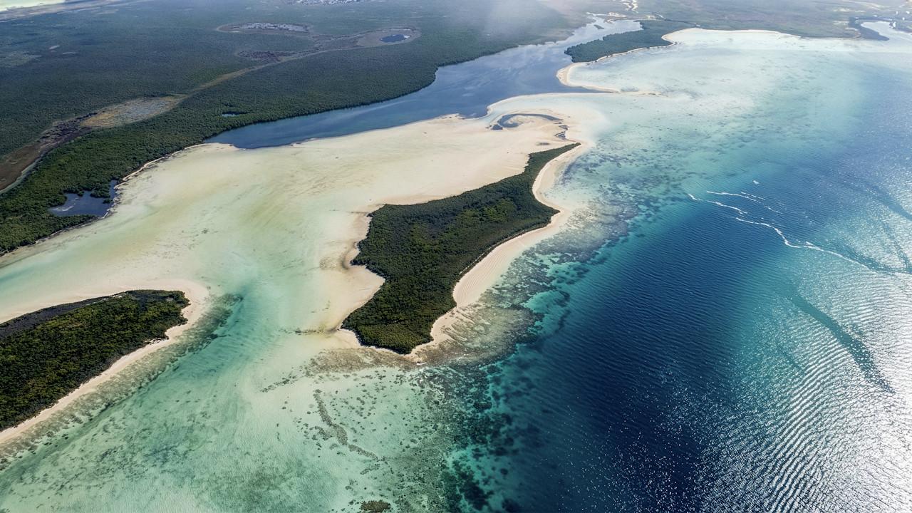 Cayo Violín
