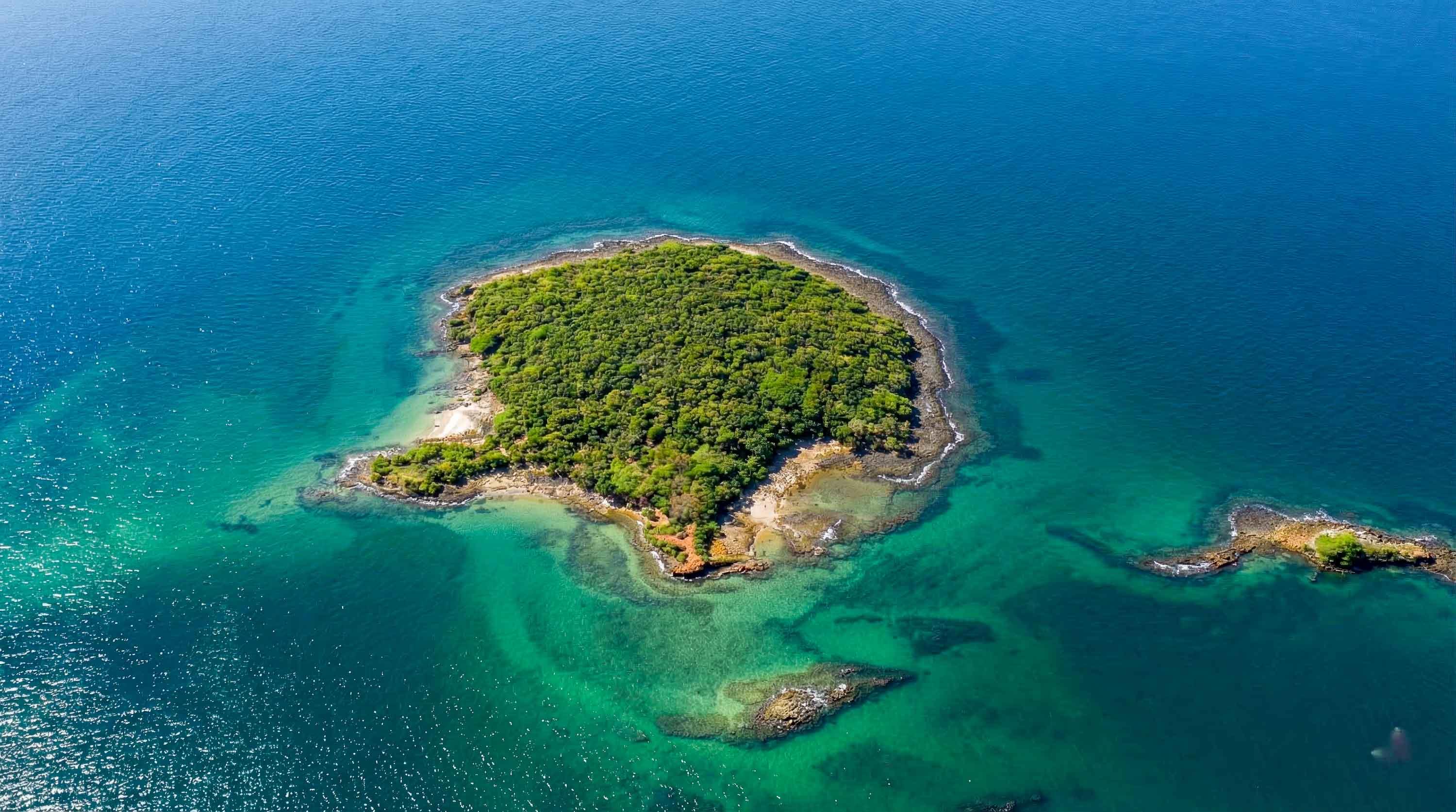 Isla Gallina
