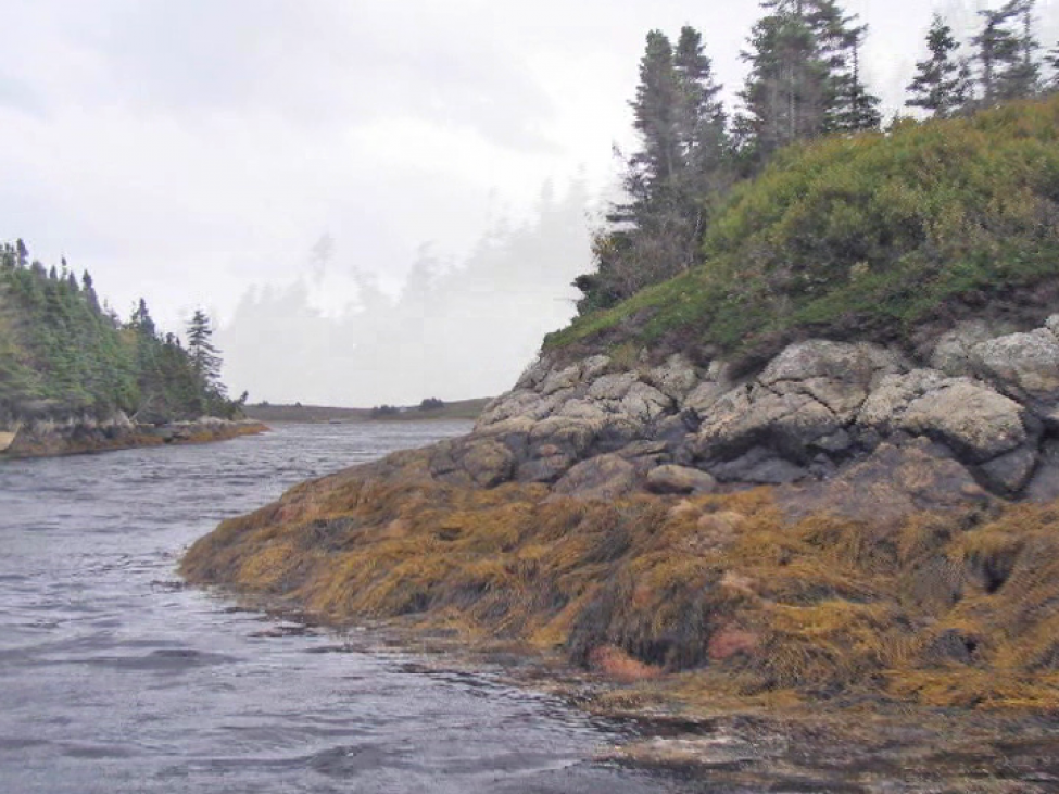 Canso Islands Nova Scotia, Canada Private Islands for Sale