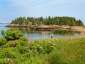 /1564/image_2e988f767a.jpg