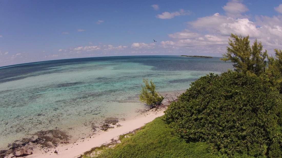 Walker's Cay The Abacos, Bahamas , Caribbean Private Islands for Sale