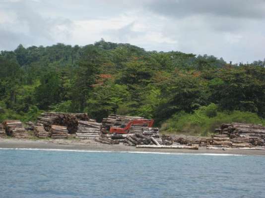 South Sulawesi Properties For Sale South Sulawesi Properties For Sale