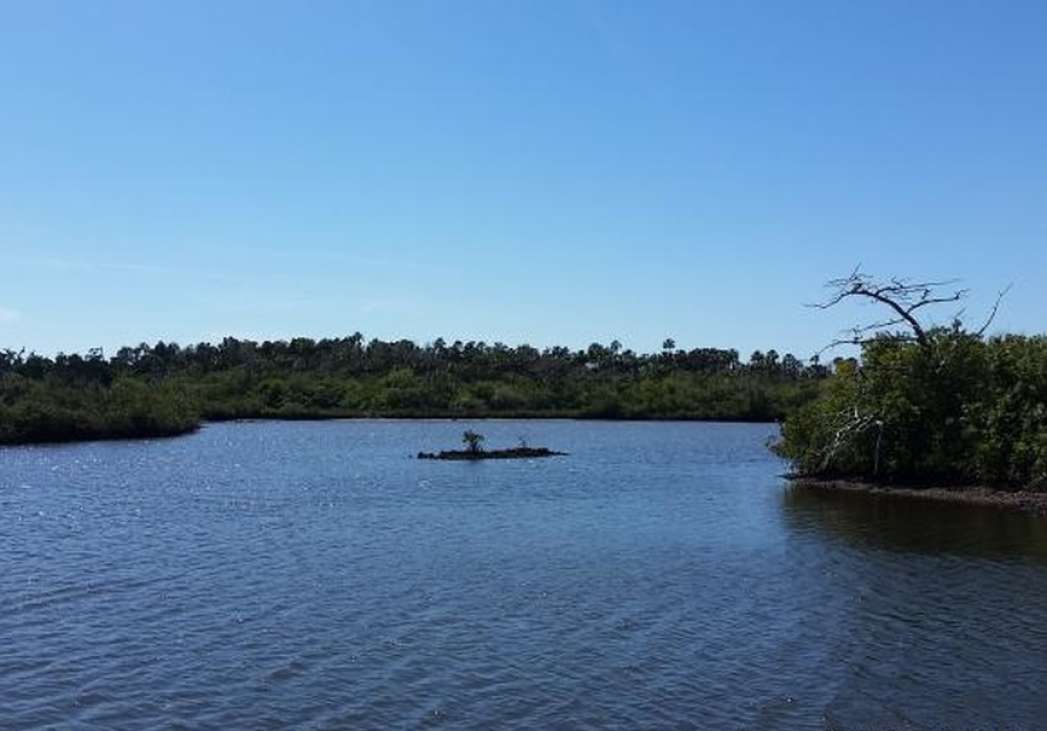 Crystal River Ozello Florida, United States Private Islands for Sale