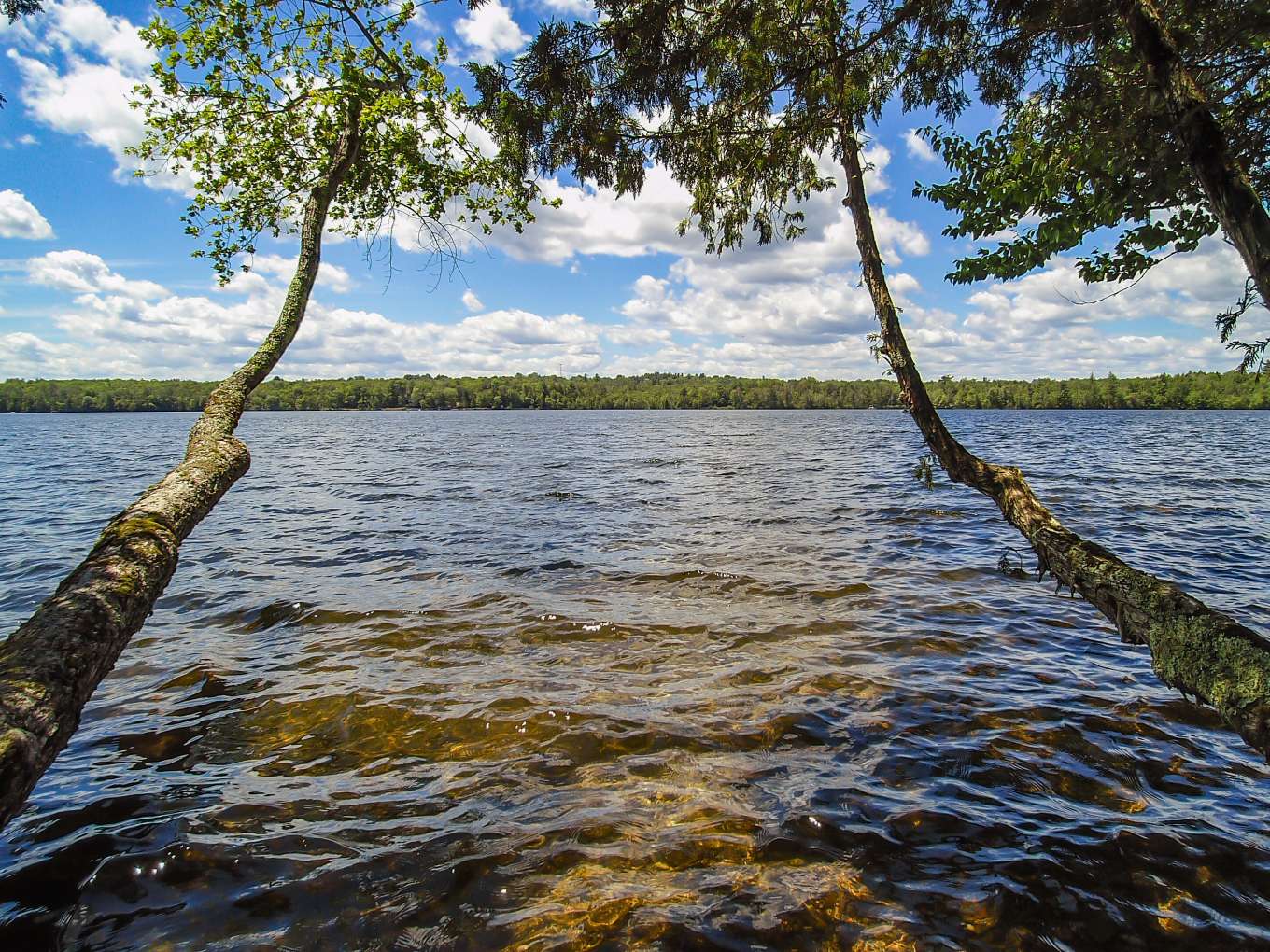 Tsuga Island Maine, United States Private Islands for Sale