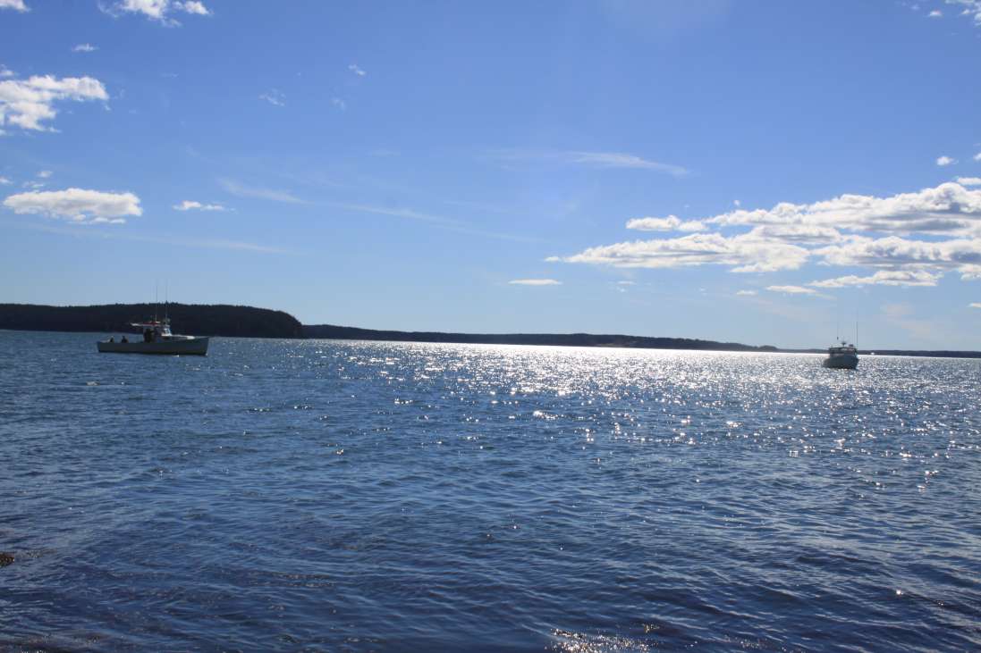Pond Cove Island Maine, United States Private Islands for Sale