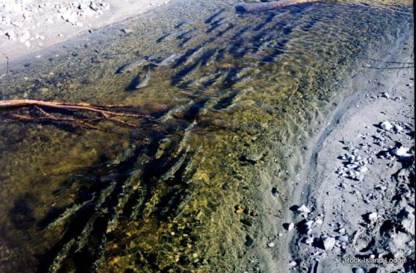 Kalgin Island Alaska, United States Private Islands for Sale