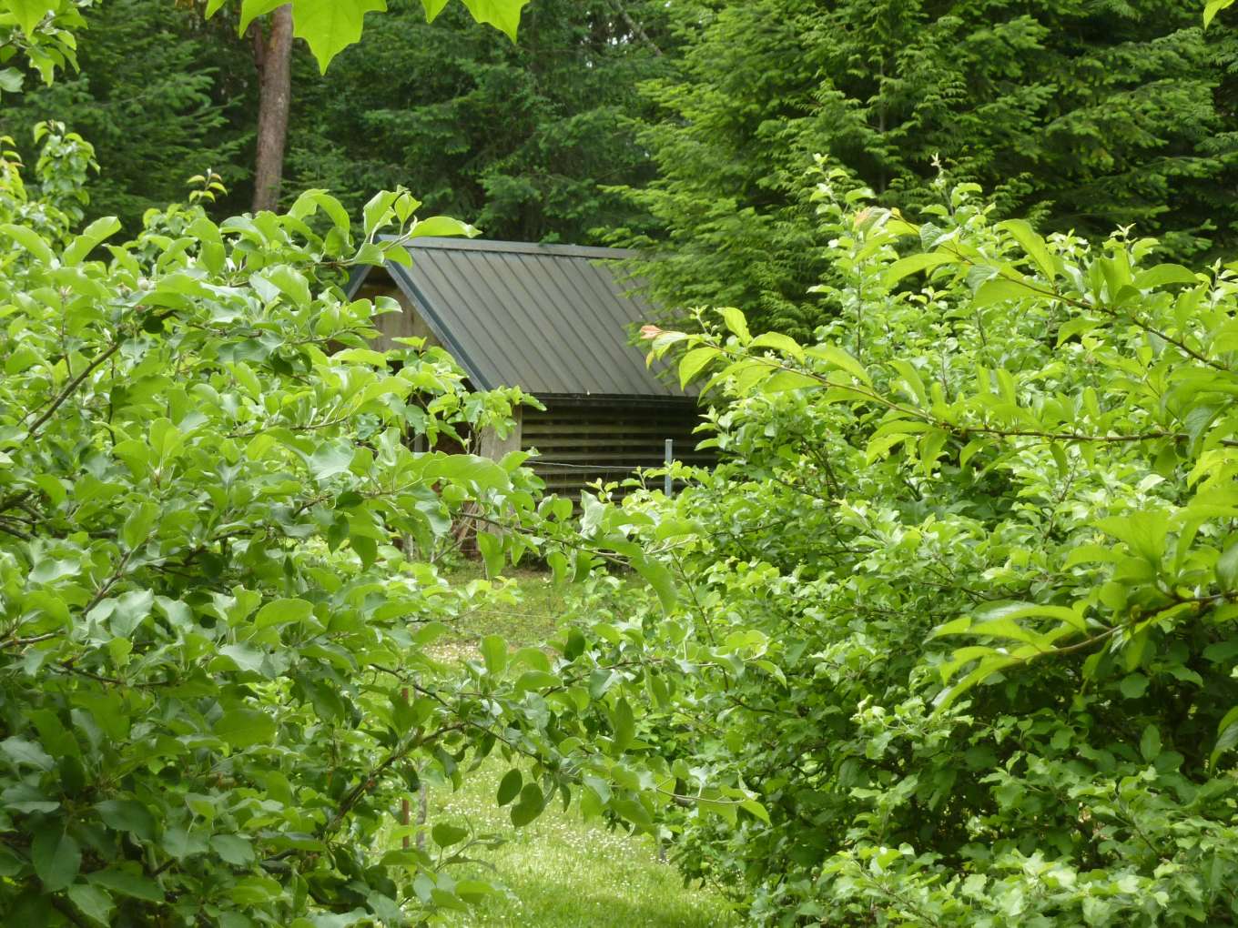 Prevost Island Lots British Columbia, Canada Private Islands for Sale