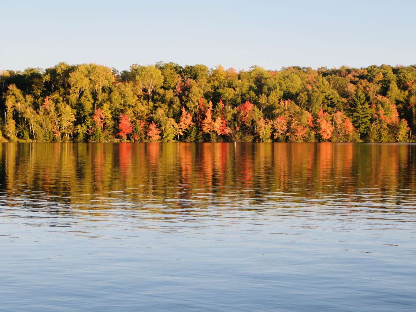 Sandpoint Lake Island Minnesota, United States Private Islands for Sale