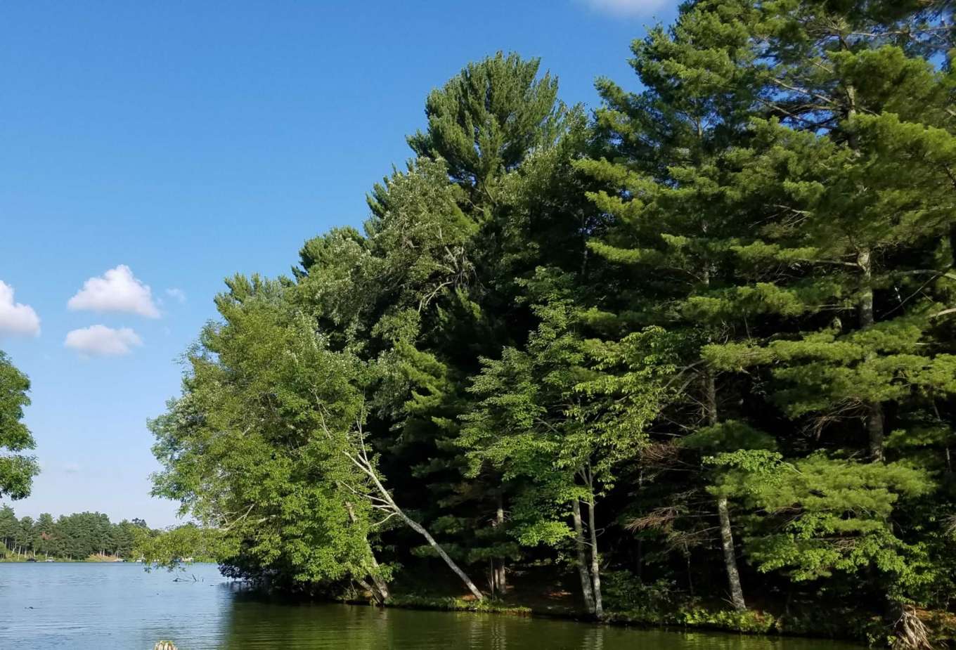 Chetek Lake Island Wisconsin, United States Private Islands for Sale