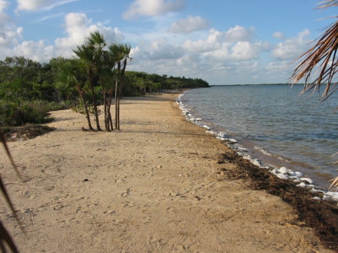 island image