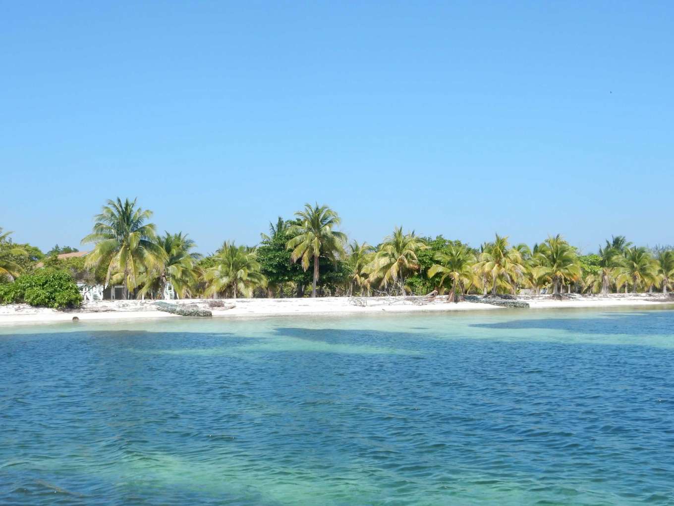 utila honduras homes for sale