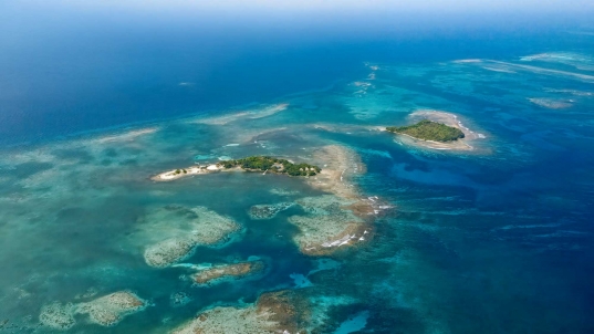grid image