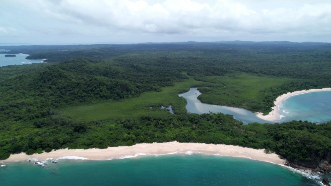 island image