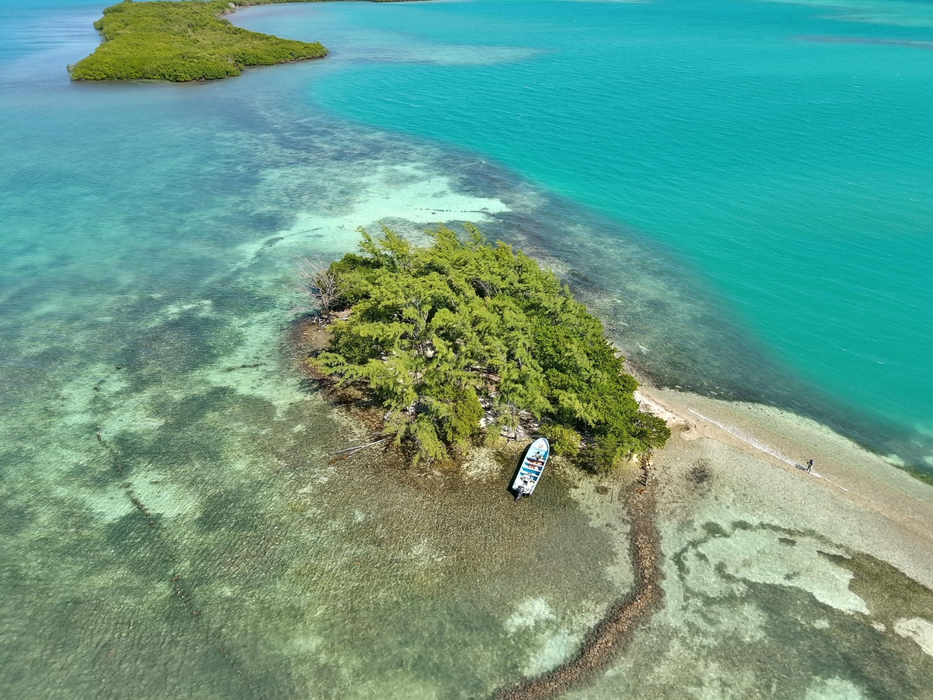 bximage0 image service