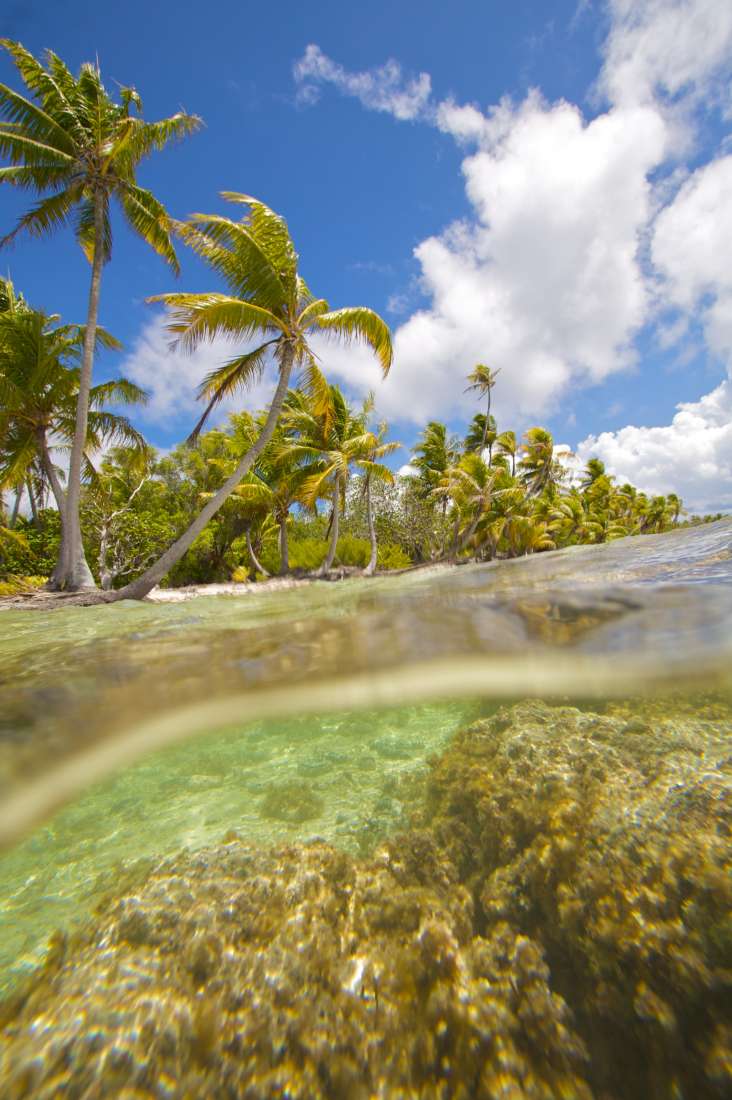 Ahe Atoll Motu French Polynesia, South Pacific Private Islands for Sale