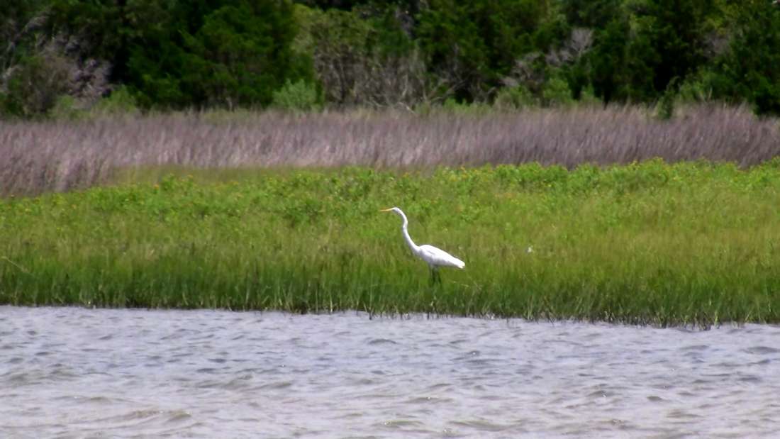 Bells Island North Carolina, United States Private Islands for Sale