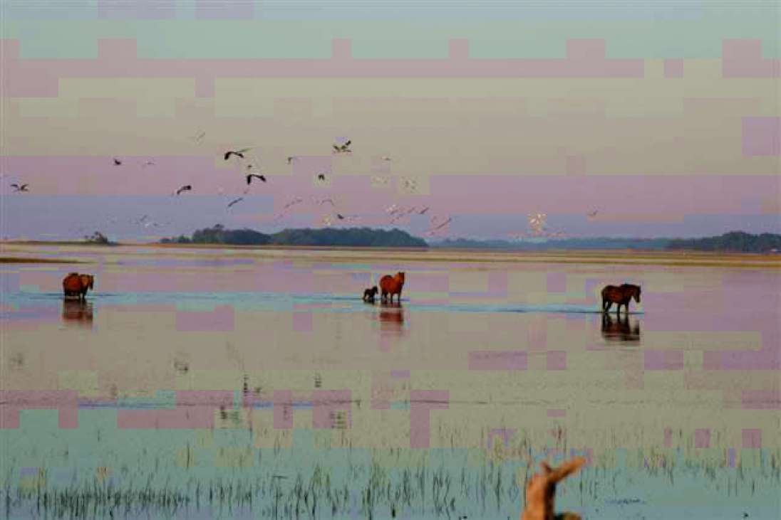 Little Horse Island South Carolina, United States Private Islands