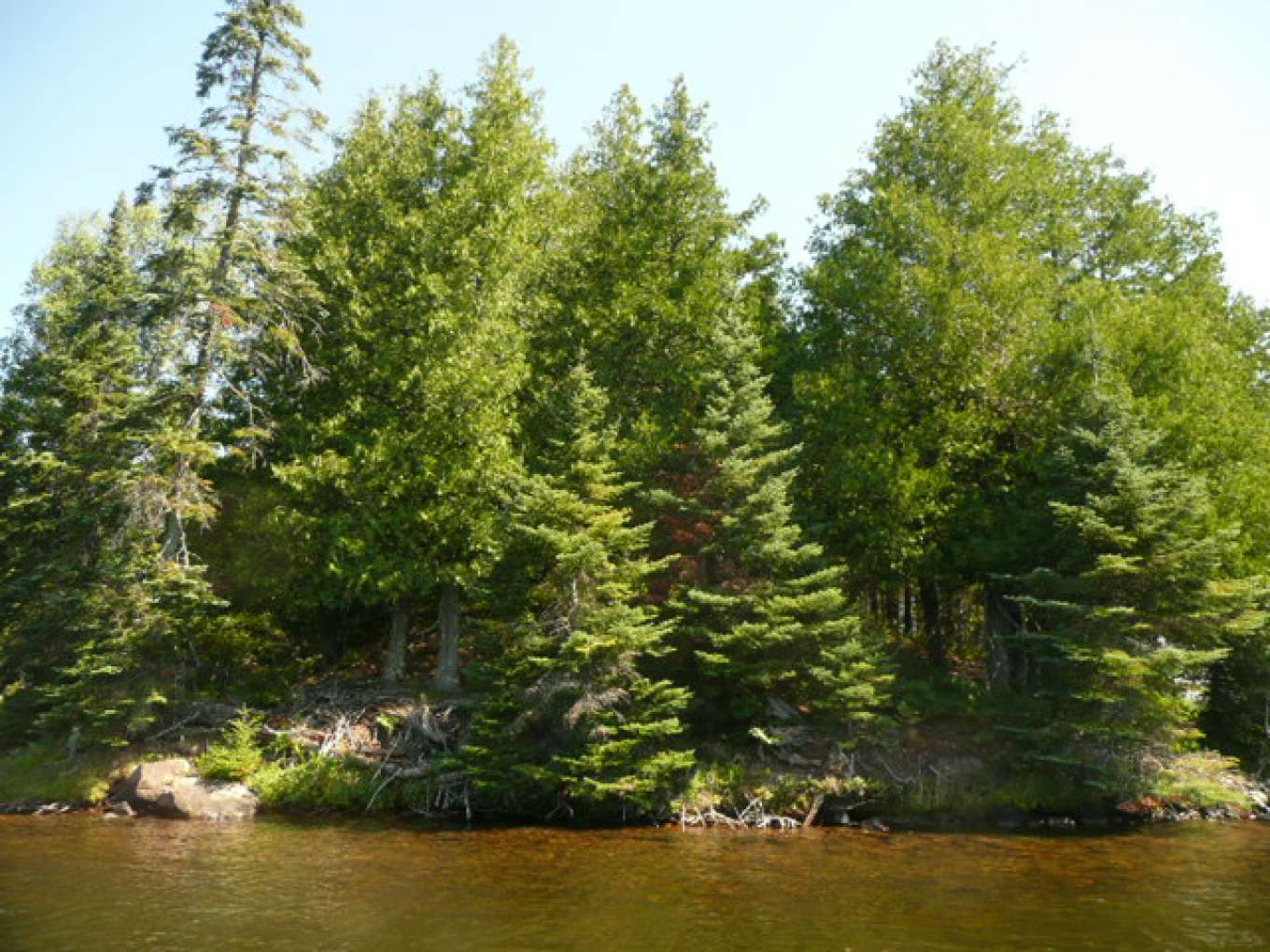 Eagles Nest Island Michigan, United States Private Islands for Sale