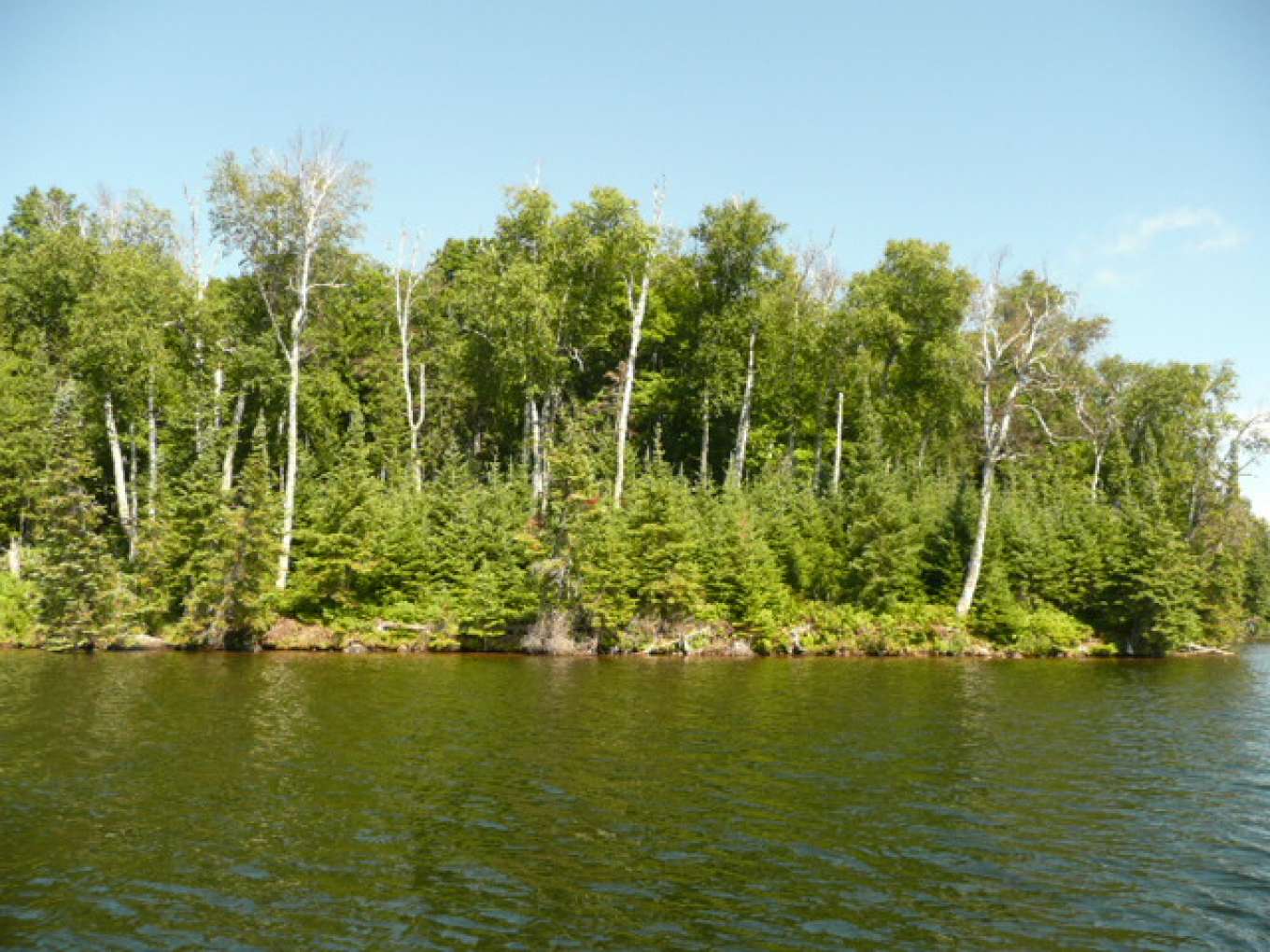 Eagles Nest Island Michigan, United States Private Islands for Sale