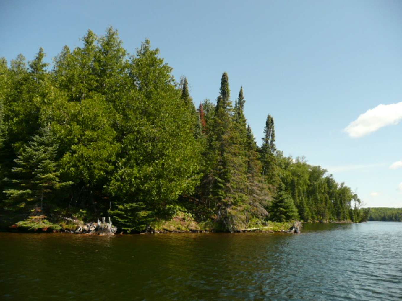 Eagles Nest Island Michigan, United States Private Islands for Sale