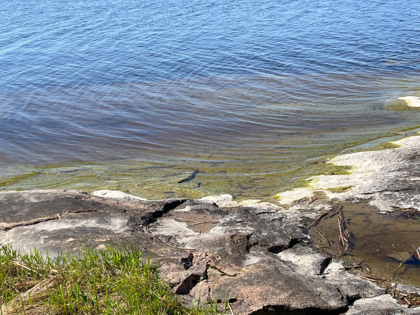 Lake Nipissing Island – Private island in Ontario, Canada