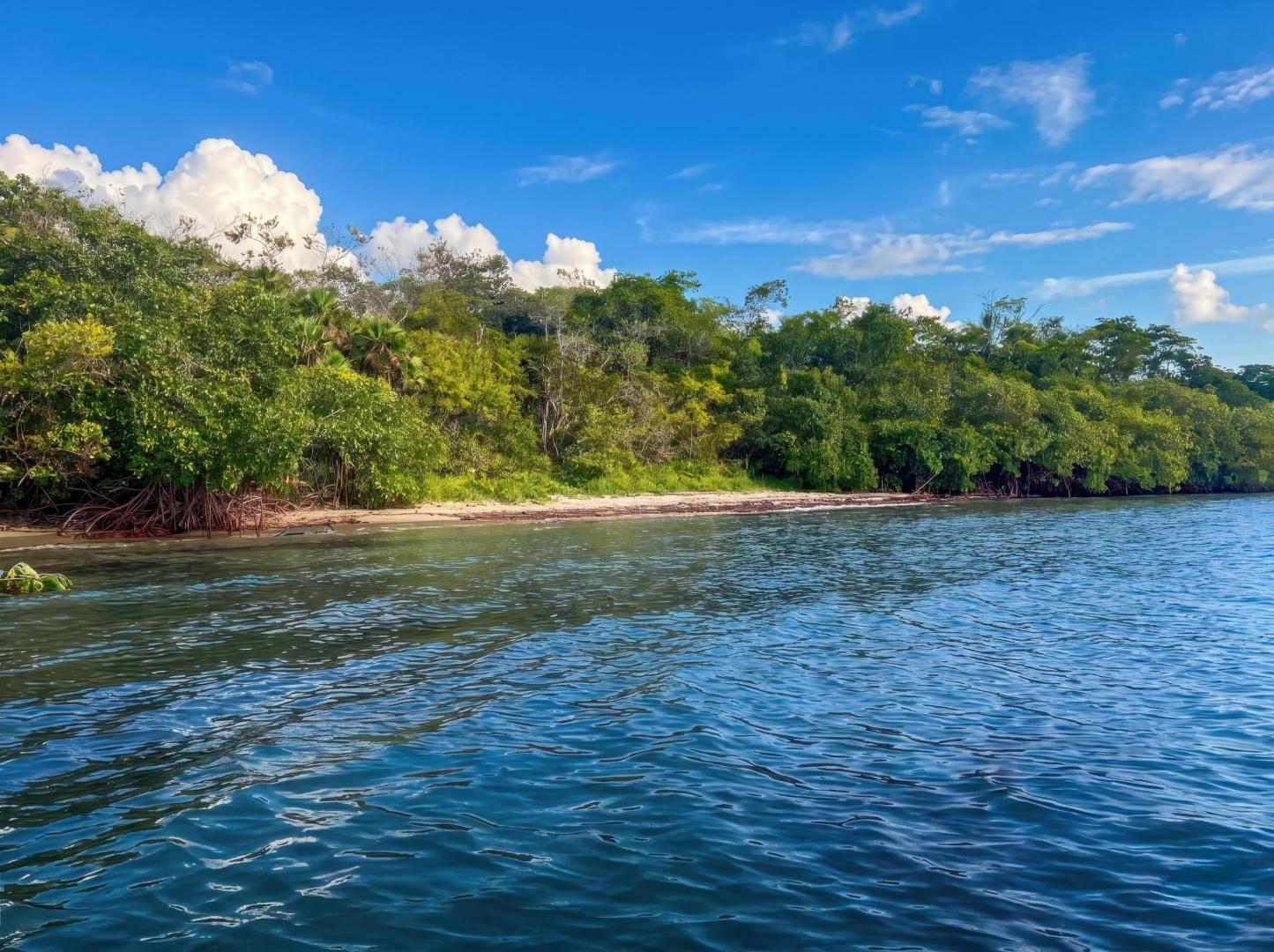 29.06 Acres For Sale in Toledo District – Private island in Central America