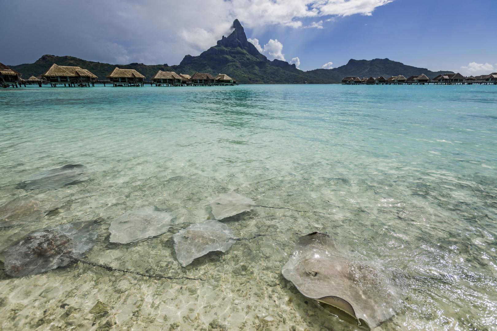InterContinental Bora Bora Resort & Thalasso Spa – Private island in French Polynesia, South Pacific
