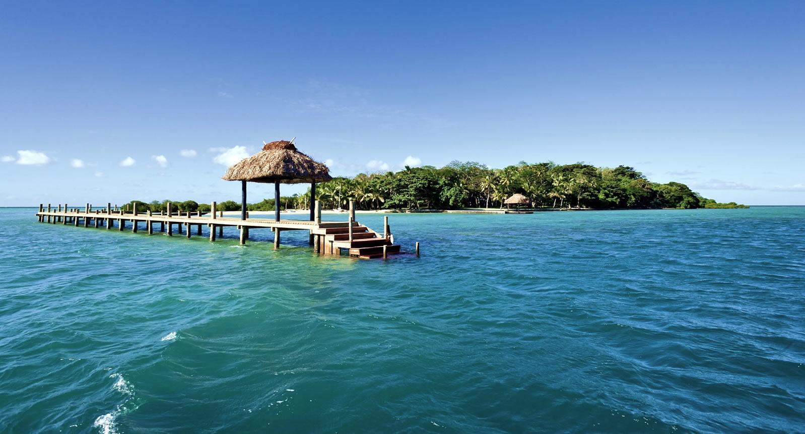 Dolphin Island image