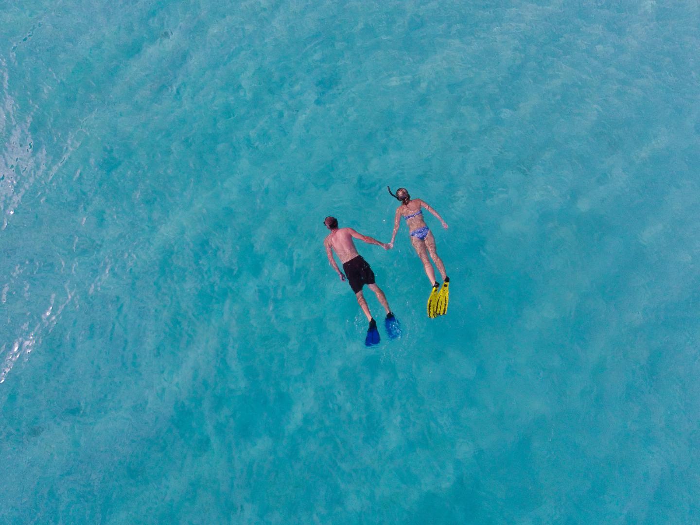 Guana Island image