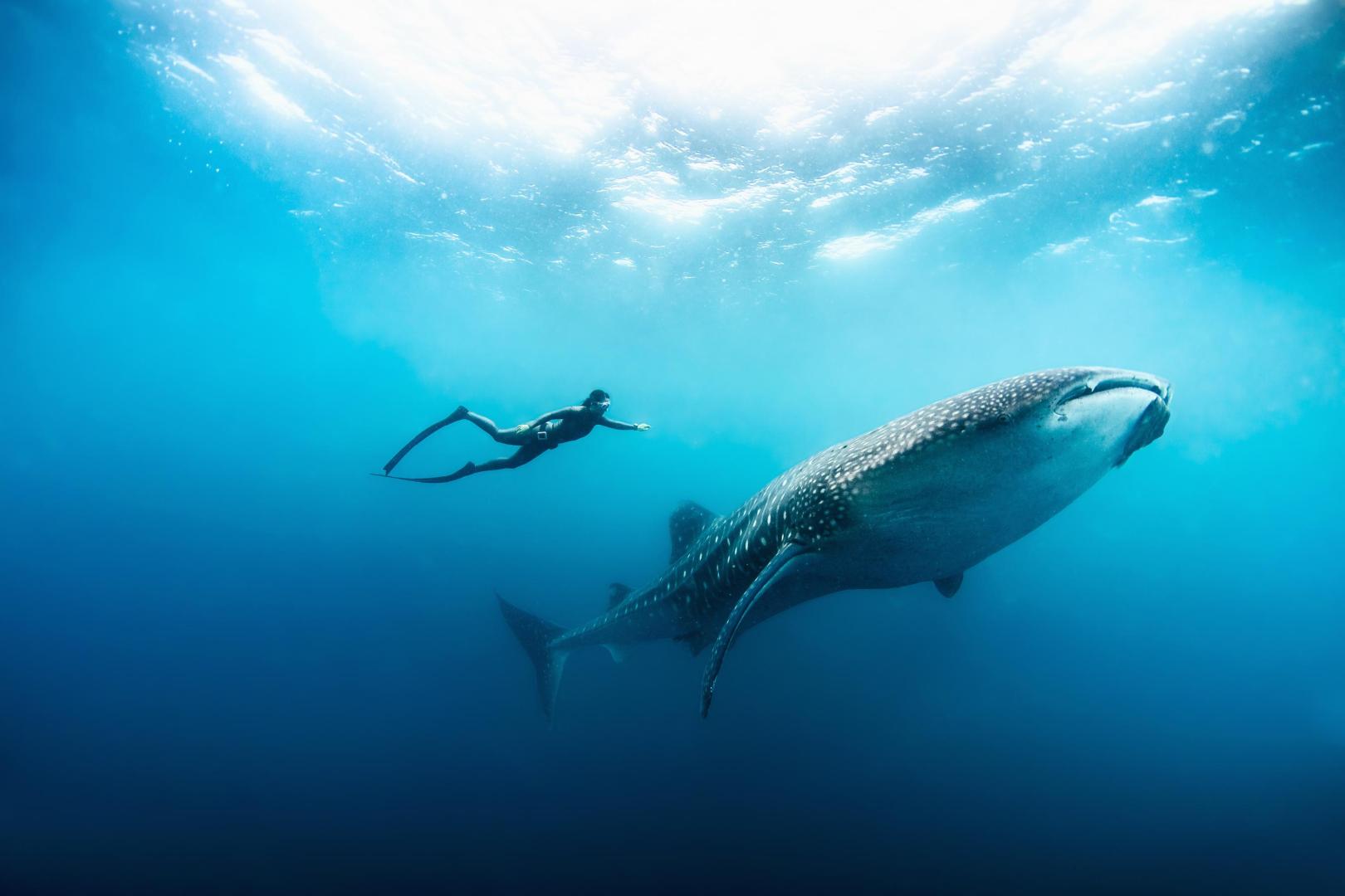 Soneva Fushi image