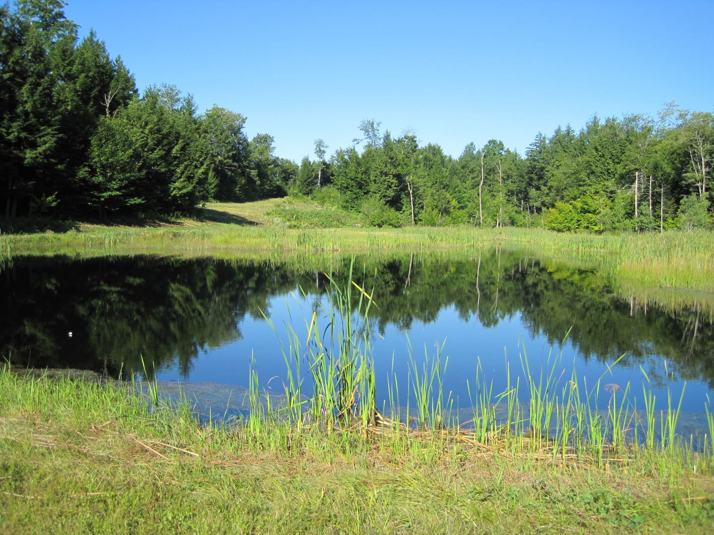 Phoebe Island image