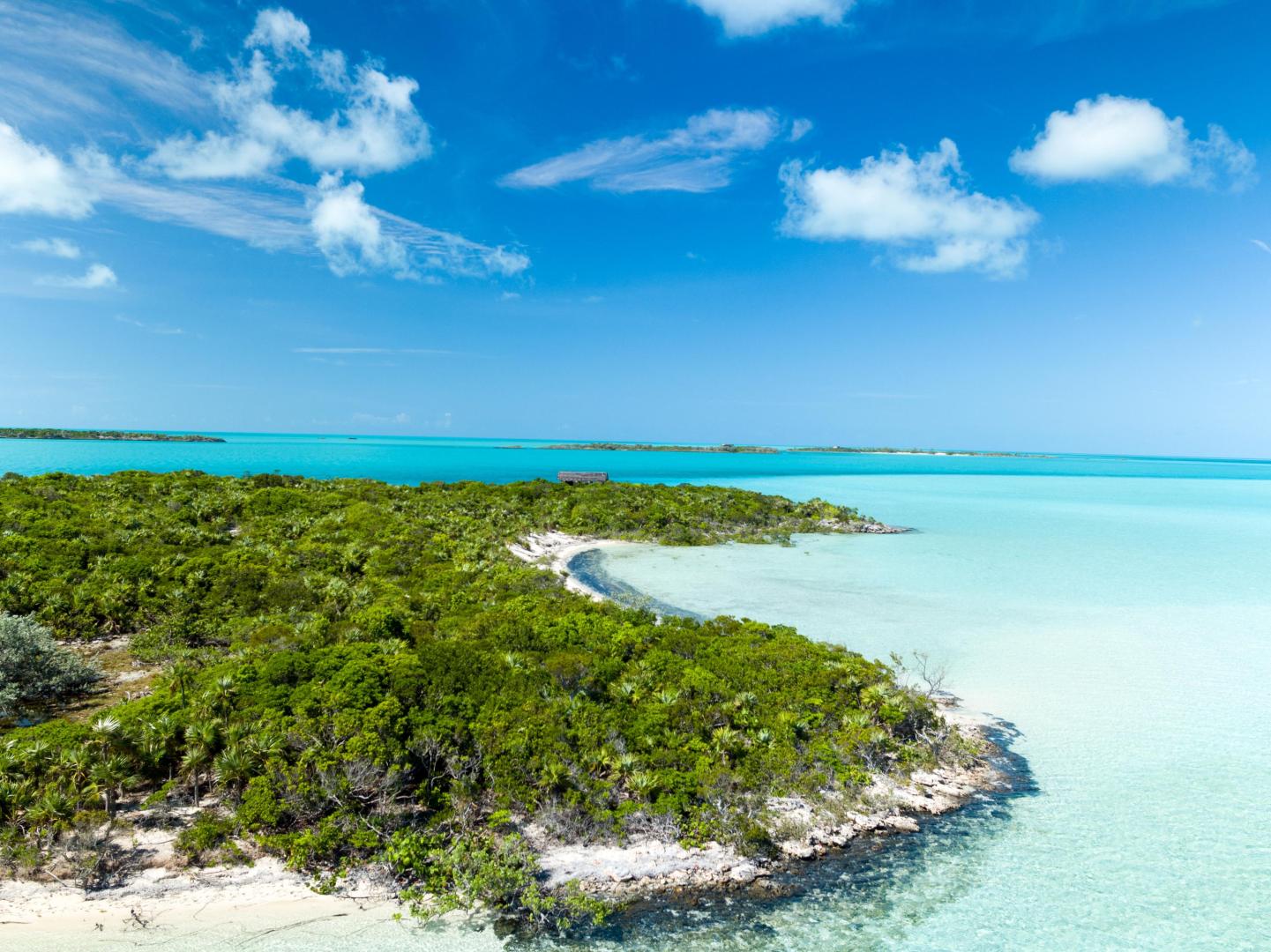 Jim Cay image