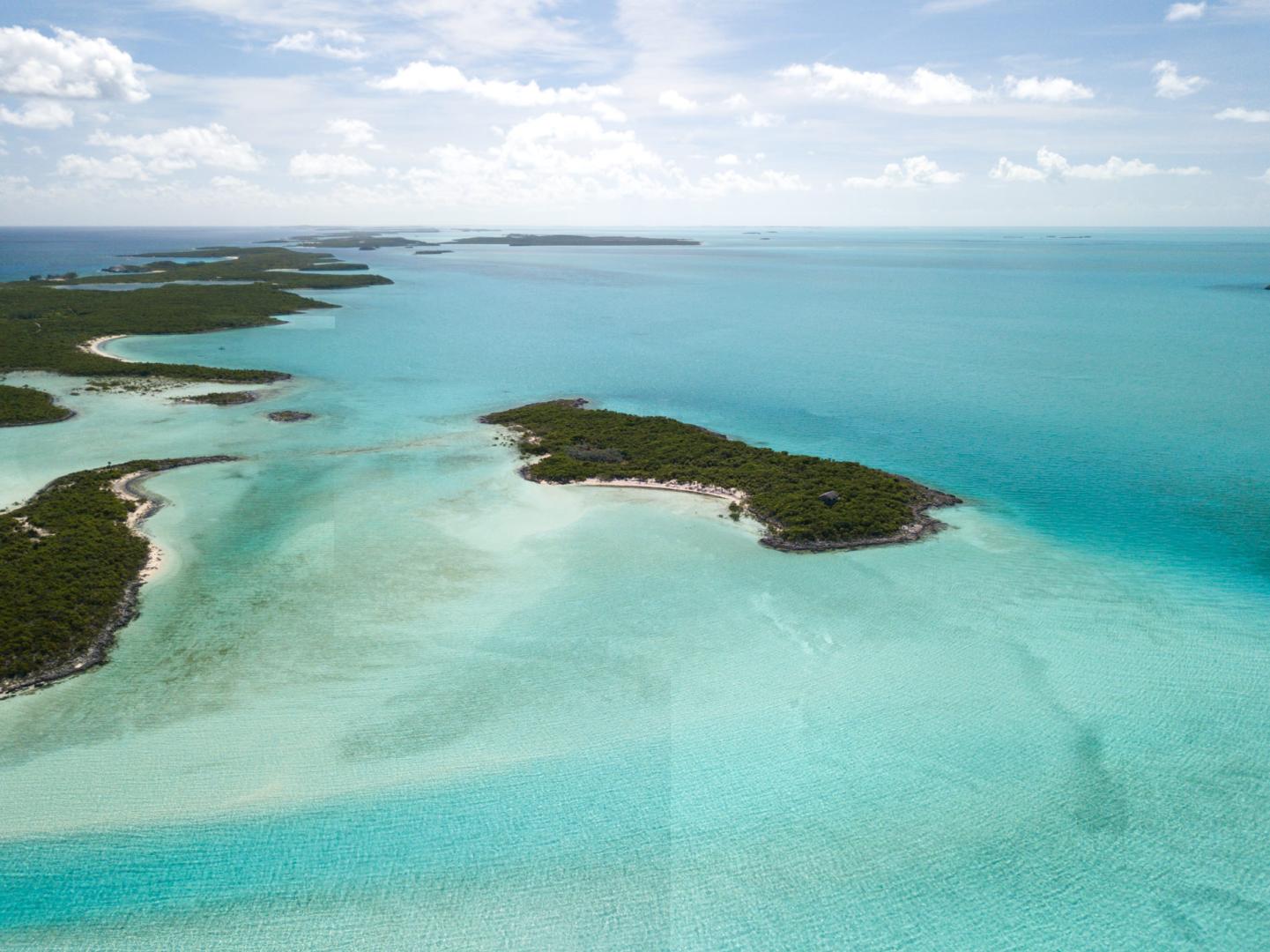Jim Cay image