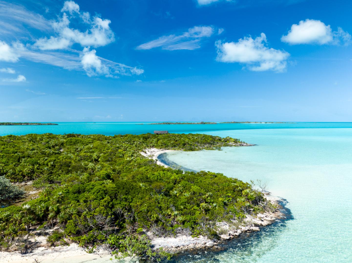 Jim Cay image