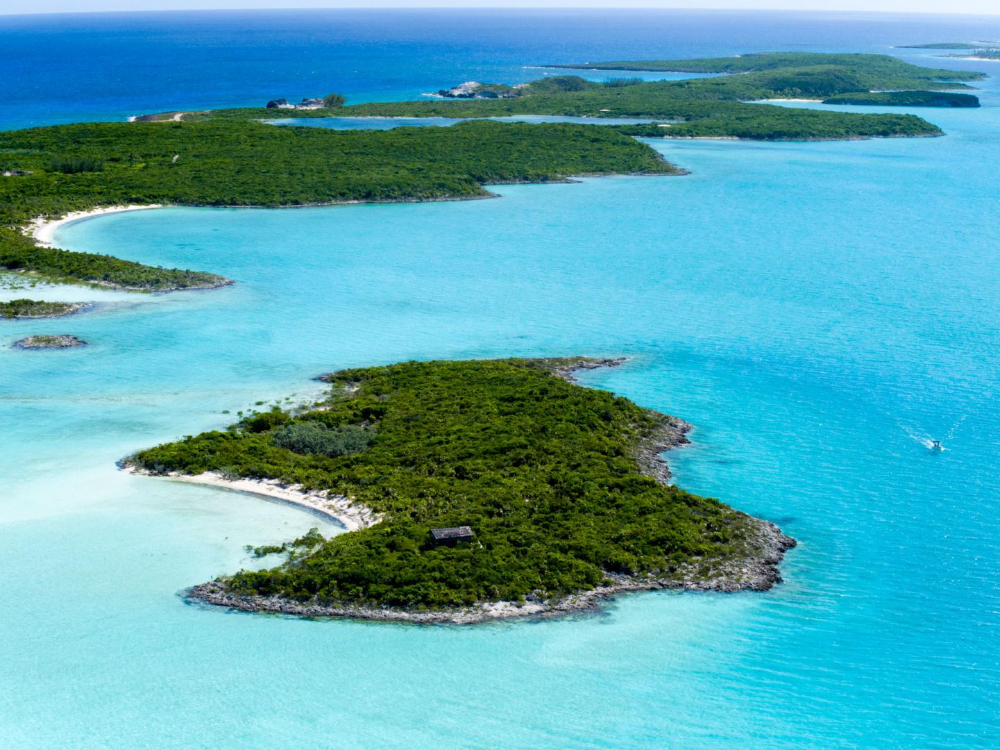 Jim Cay image